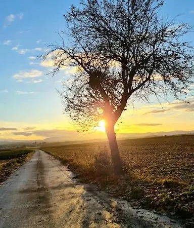 Alsace Bas-rhin Logis Independant Avec Piscine Privee