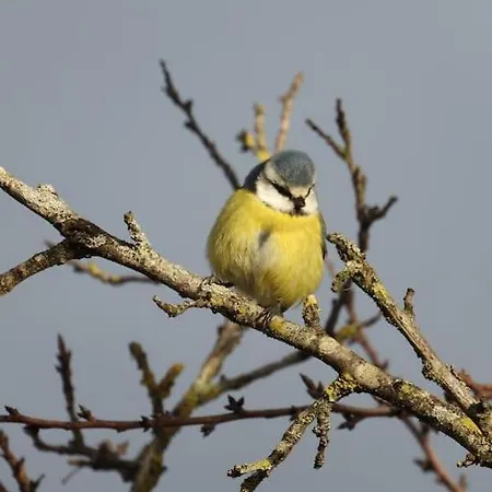 Apartmán Alsace Bas-rhin Logis Independant Avec Piscine Privee Alteckendorf
