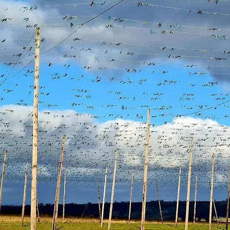 Alsace Bas-rhin Logis Independant Avec Piscine Privee *